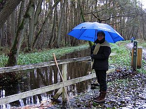Lady with the blue Umbrella